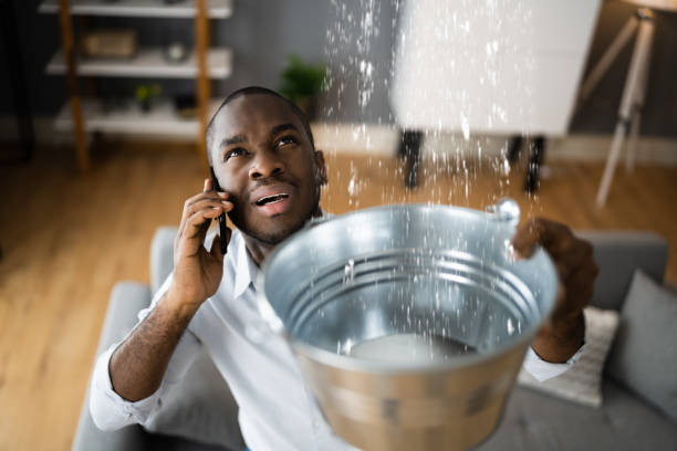 Best Local water damage restoration  in Splendora, TX