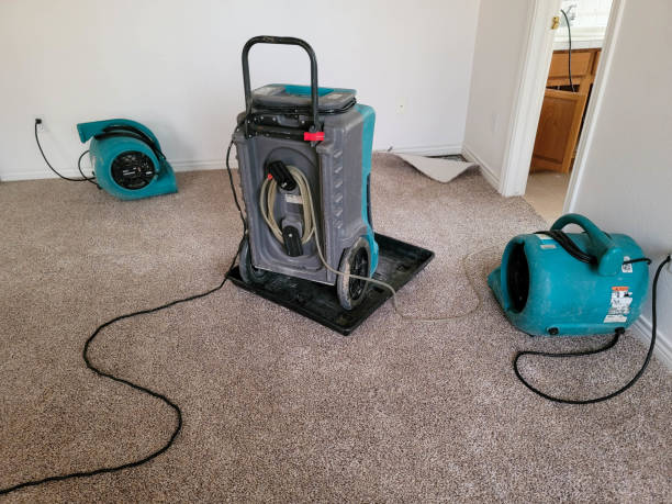 Best Ceiling water damage repair  in Splendora, TX