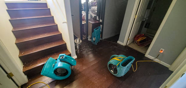 Best Flood restoration services  in Splendora, TX