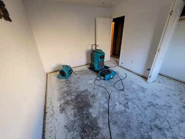 Best Sewage cleanup and water damage restoration  in Splendora, TX