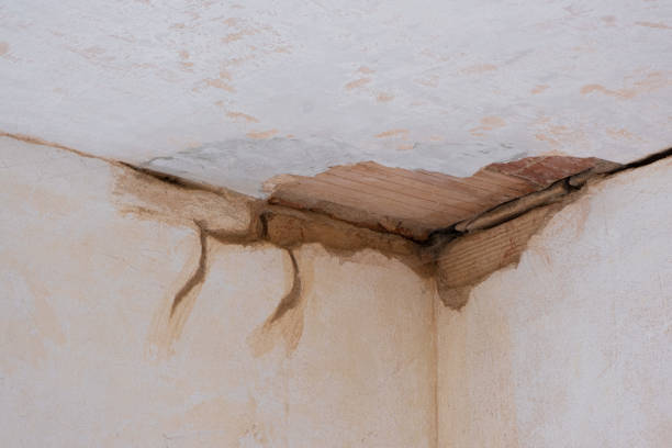 Best 24/7 water damage repair  in Splendora, TX
