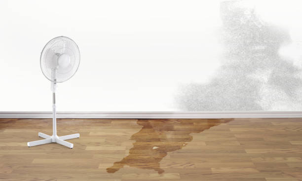 Best Water damage restoration near me  in Splendora, TX