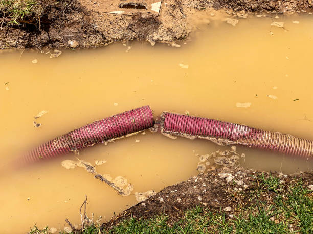 Water damage restoration mold remediation in Splendora, TX